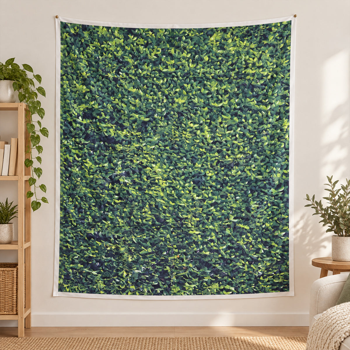 Backdrop cloth feature view