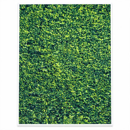 Backdrop cloth design view