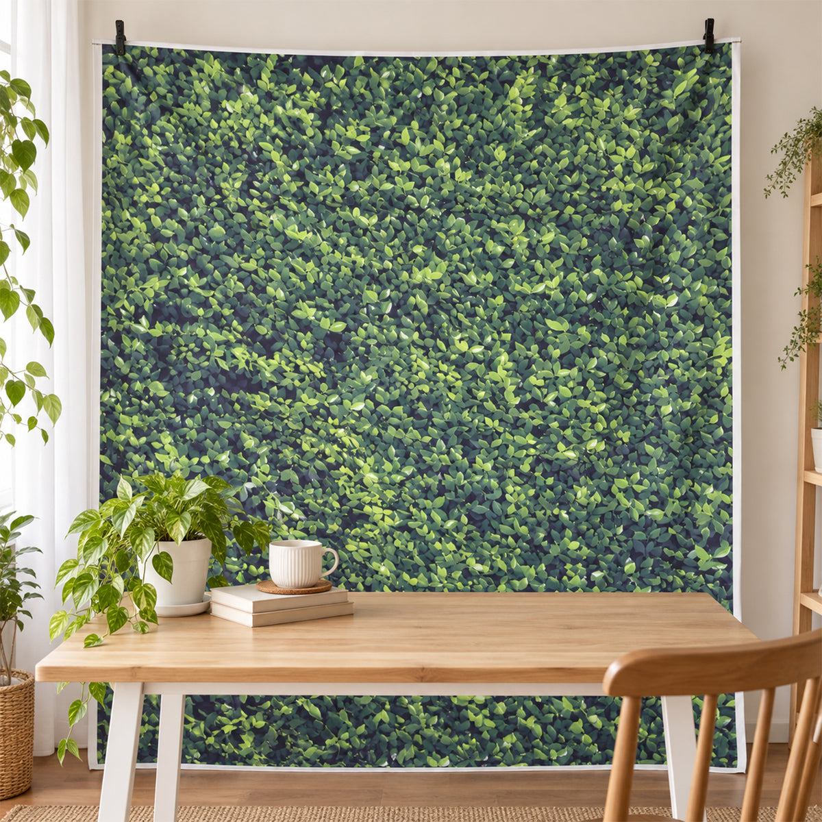Photography backdrop white bg