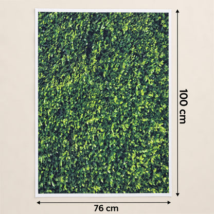 Backdrop cloth size 100x75cm