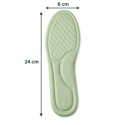 Insole size guide showing length 24 cm and width 6 cm