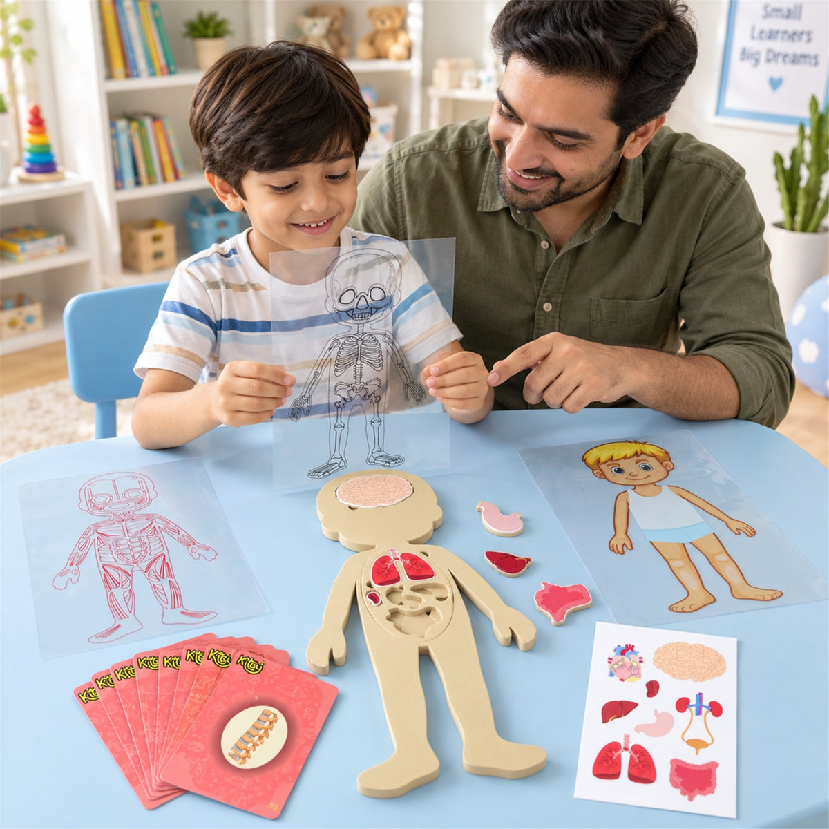 Human body transparent sheet learning activity