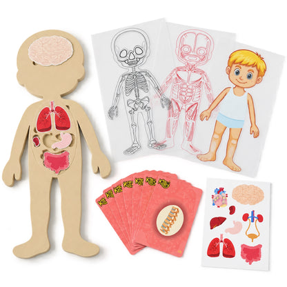 Human body puzzle complete set on white background