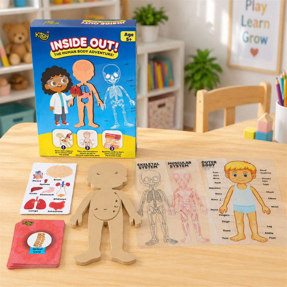Actual human anatomy puzzle set with colour box