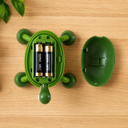 Plastic turtle massage tool product view