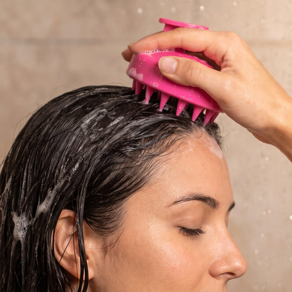Shampoo brush massaging wet hair