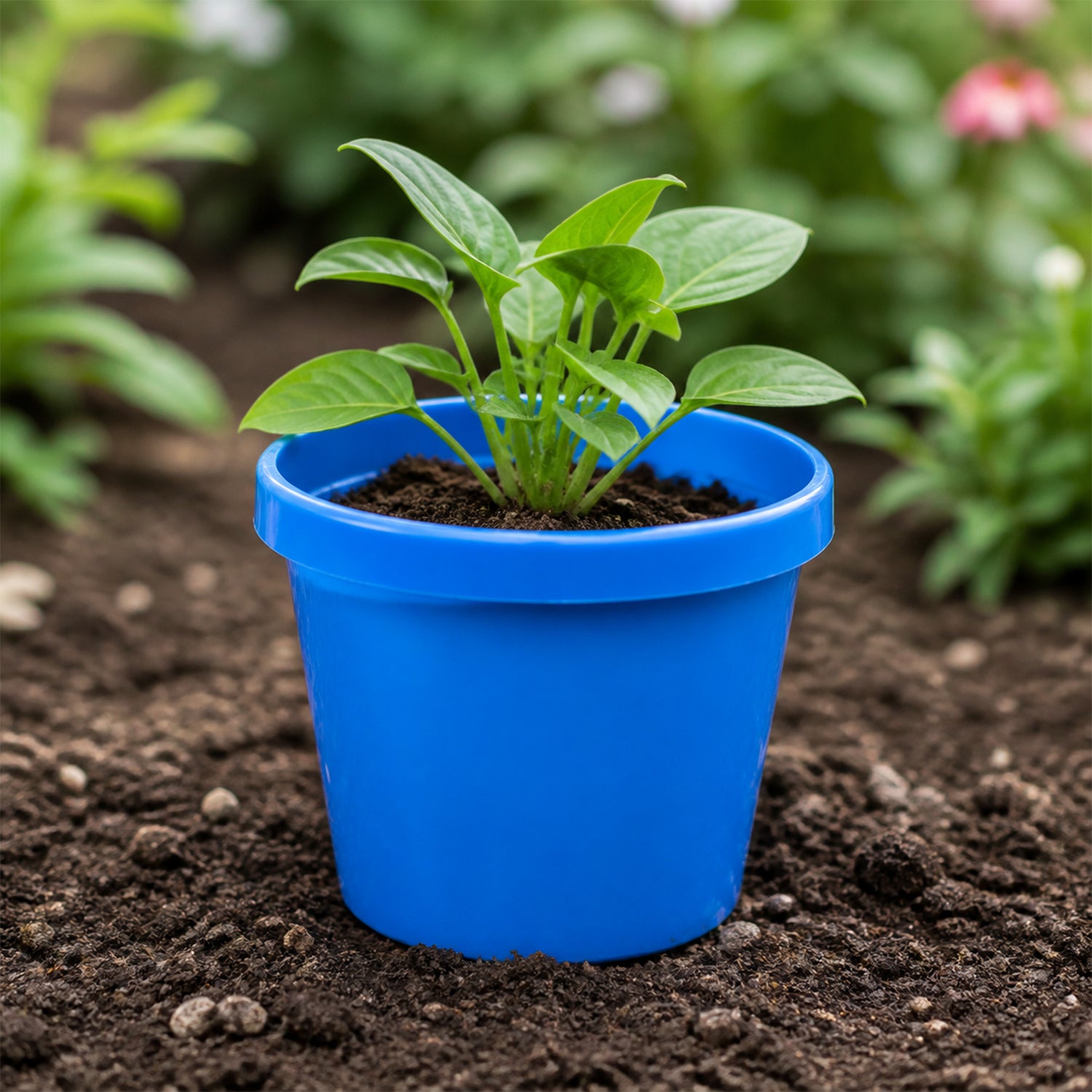 Plastic planter pot with plant