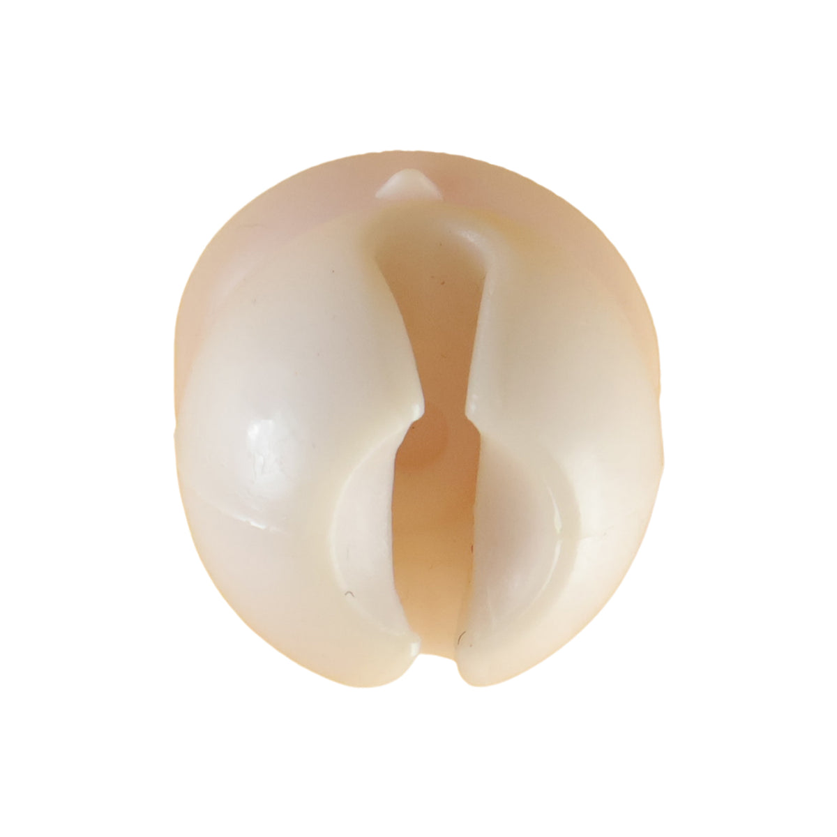 Toothbrush holder on white background