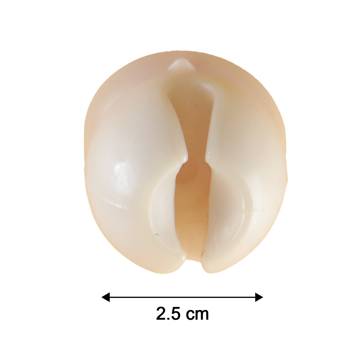 Toothbrush holder size guide