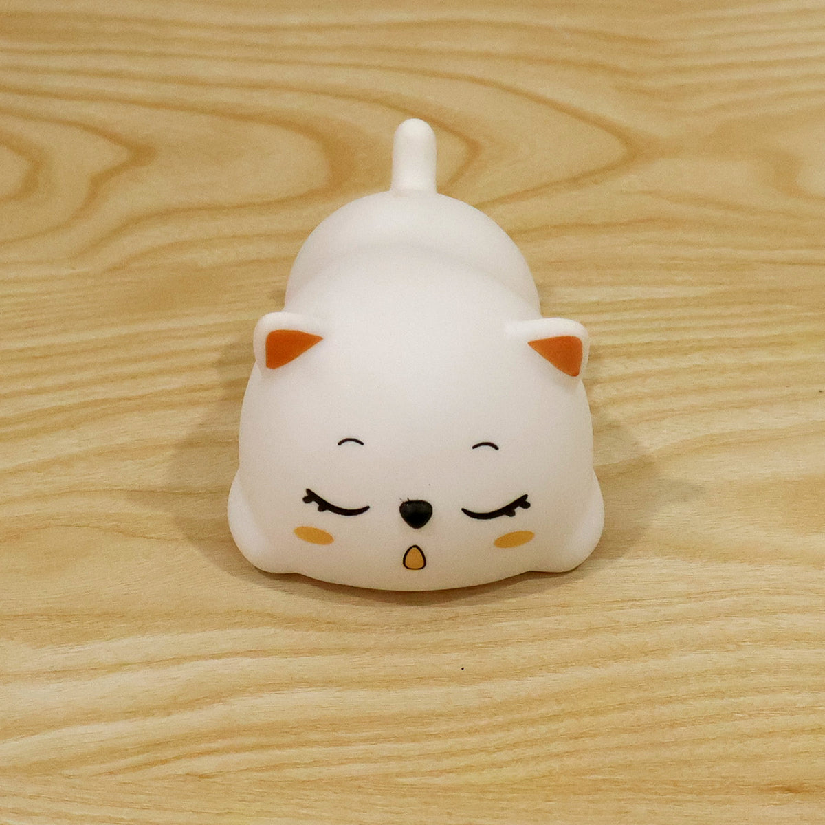 Actual photograph of sleeping cat night light