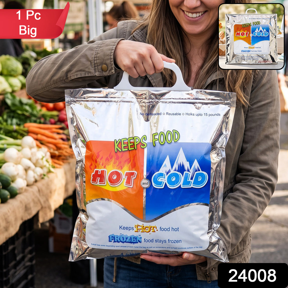 24008 big insulated food storage bag