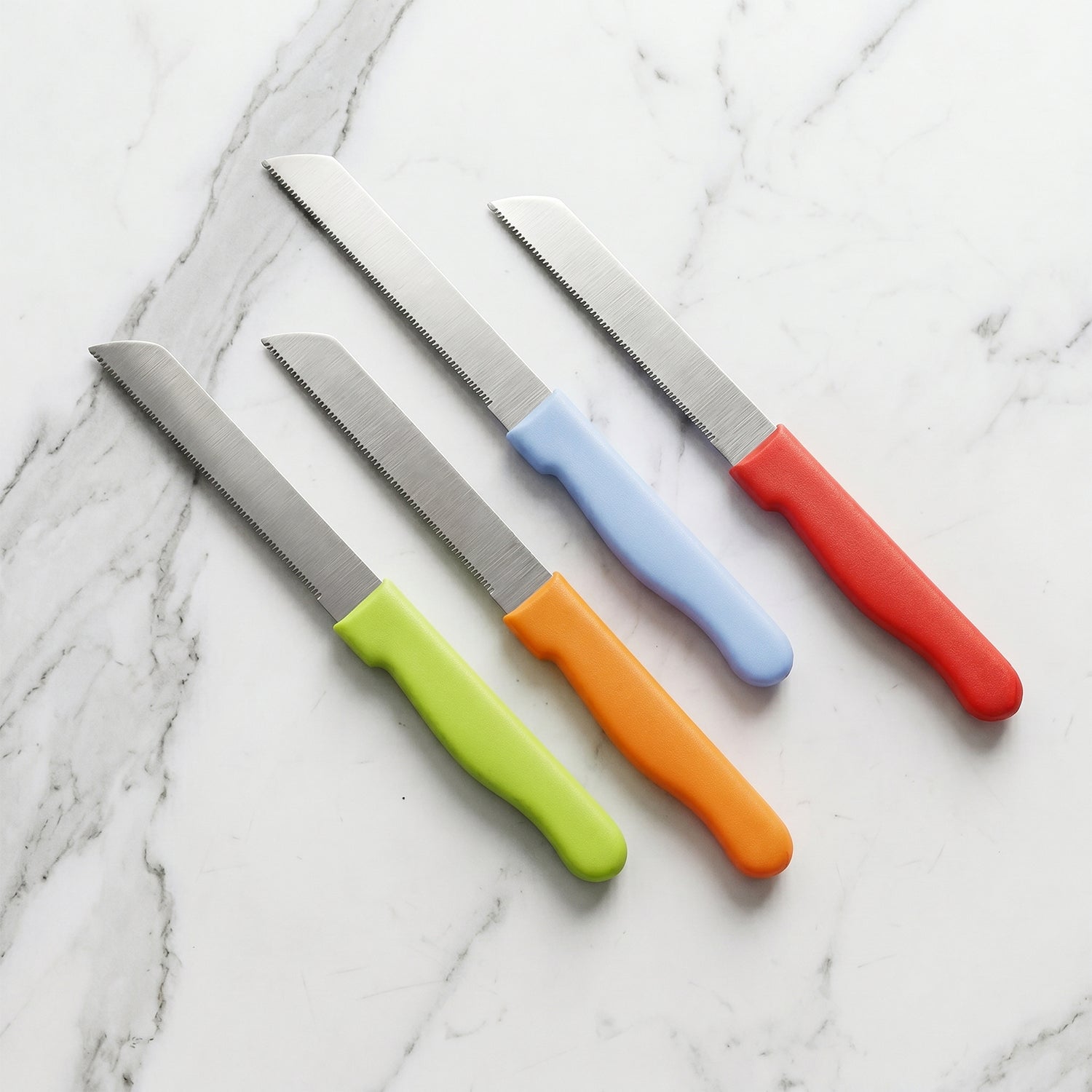 SS Kitchen Knife Set with Plastic Handle Stainless Steel Vegetable Fruit (12 Pc)