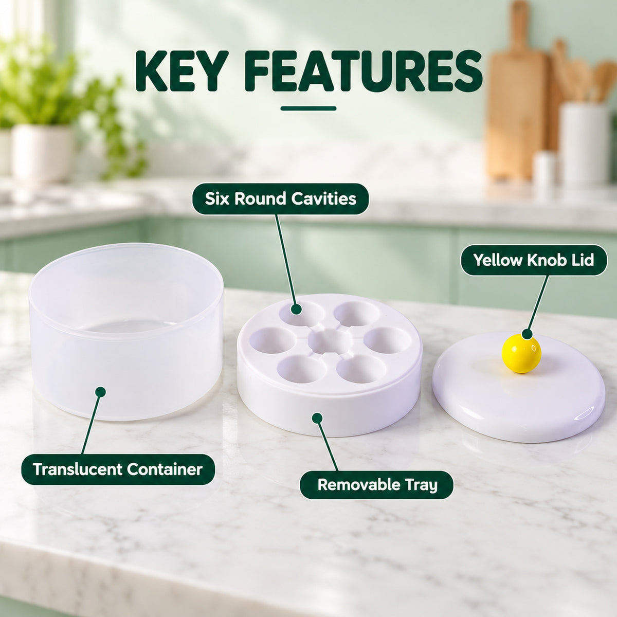 A diagram highlights the key features: a translucent container, a removable tray with six round cavities, and a yellow knob