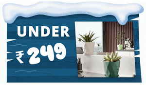 Under rupees 249 products