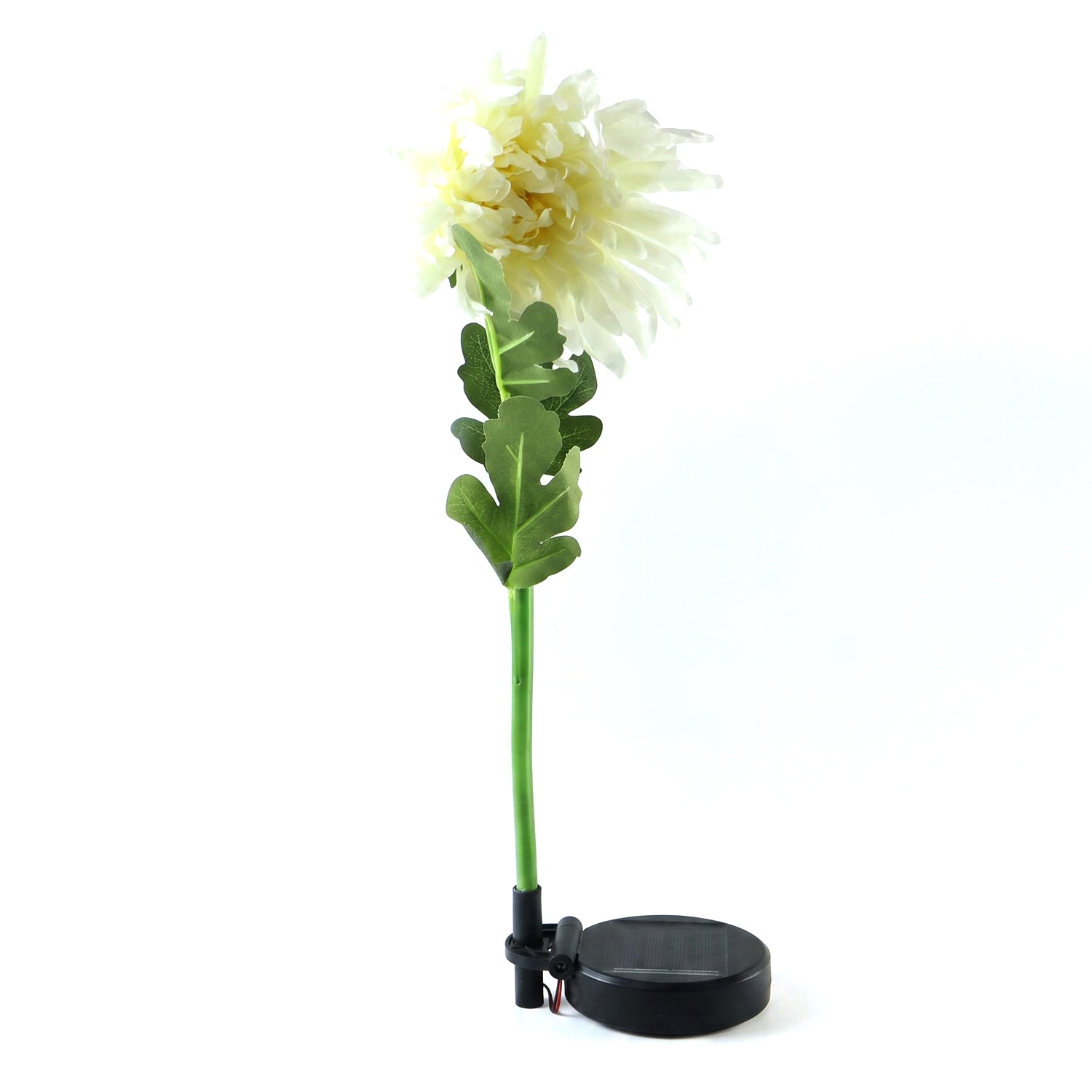 Solar flower garden stake light on white background