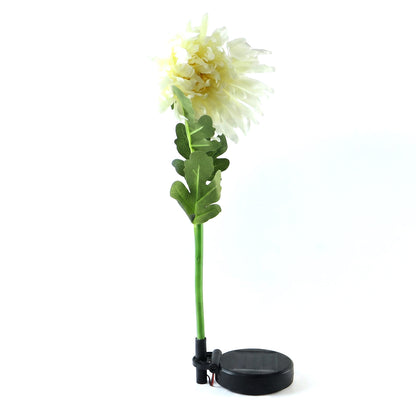 Solar flower garden stake light on white background