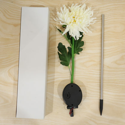 Live product photo with white box packaging