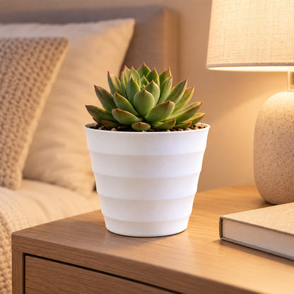 Decorative ribbed plastic flower pot - view 8