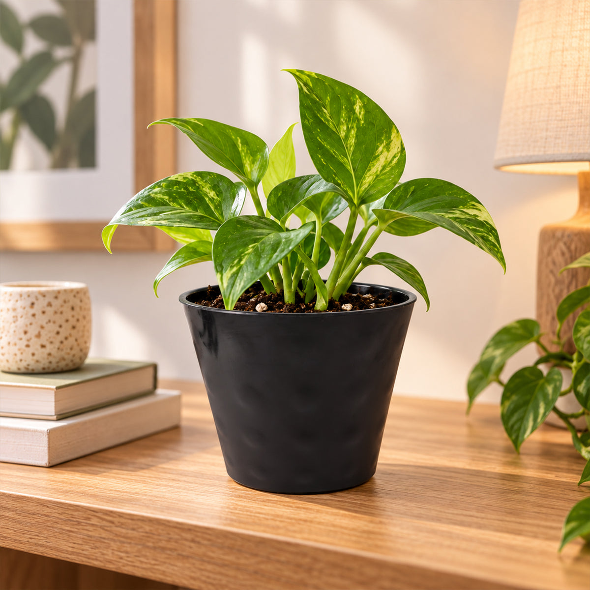 Decorative plastic flower pot top view