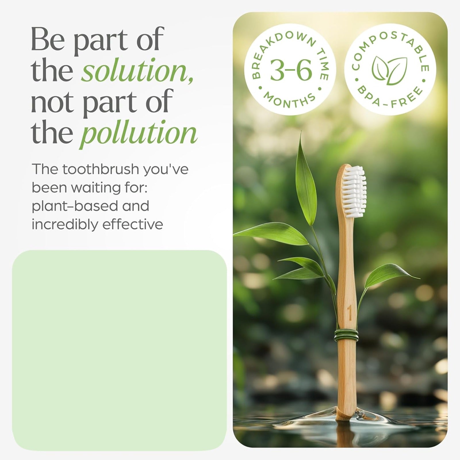 Eco-Friendly Natural Bamboo Toothbrush with Medium Bristles (2 Pc)