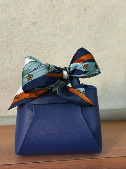 Mini blue handbag organizer held in hand, showing portability