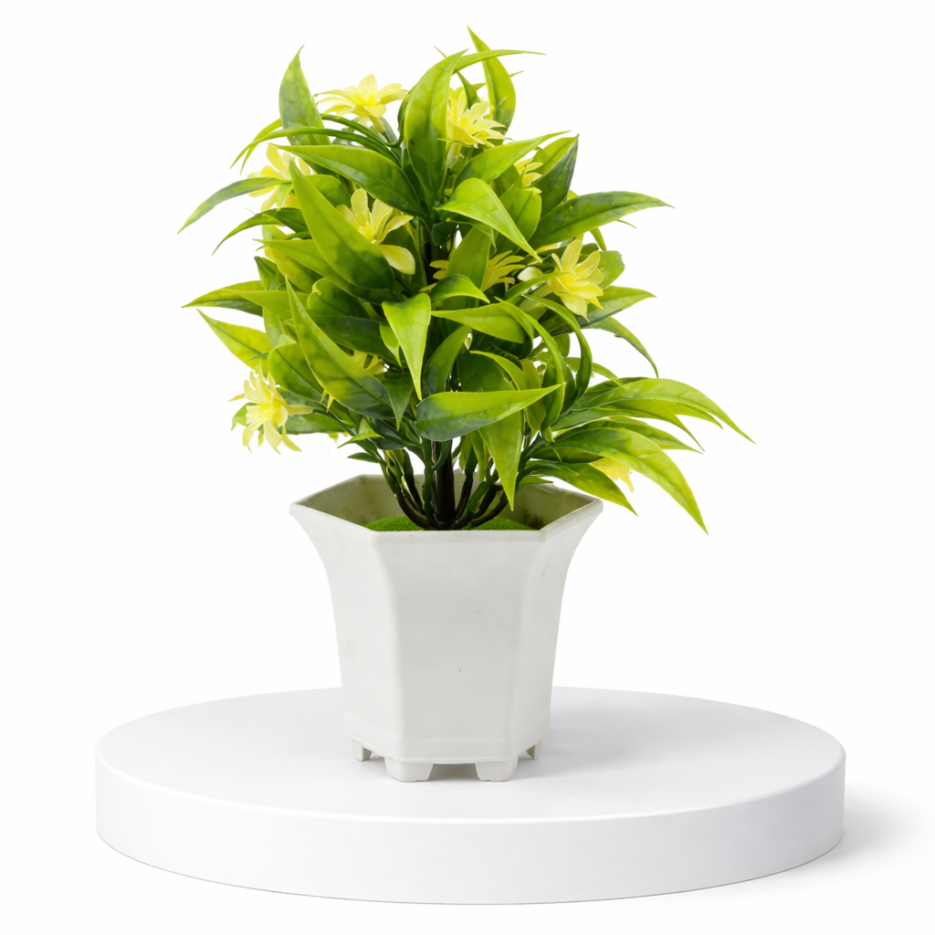 Gardening & Landscaping