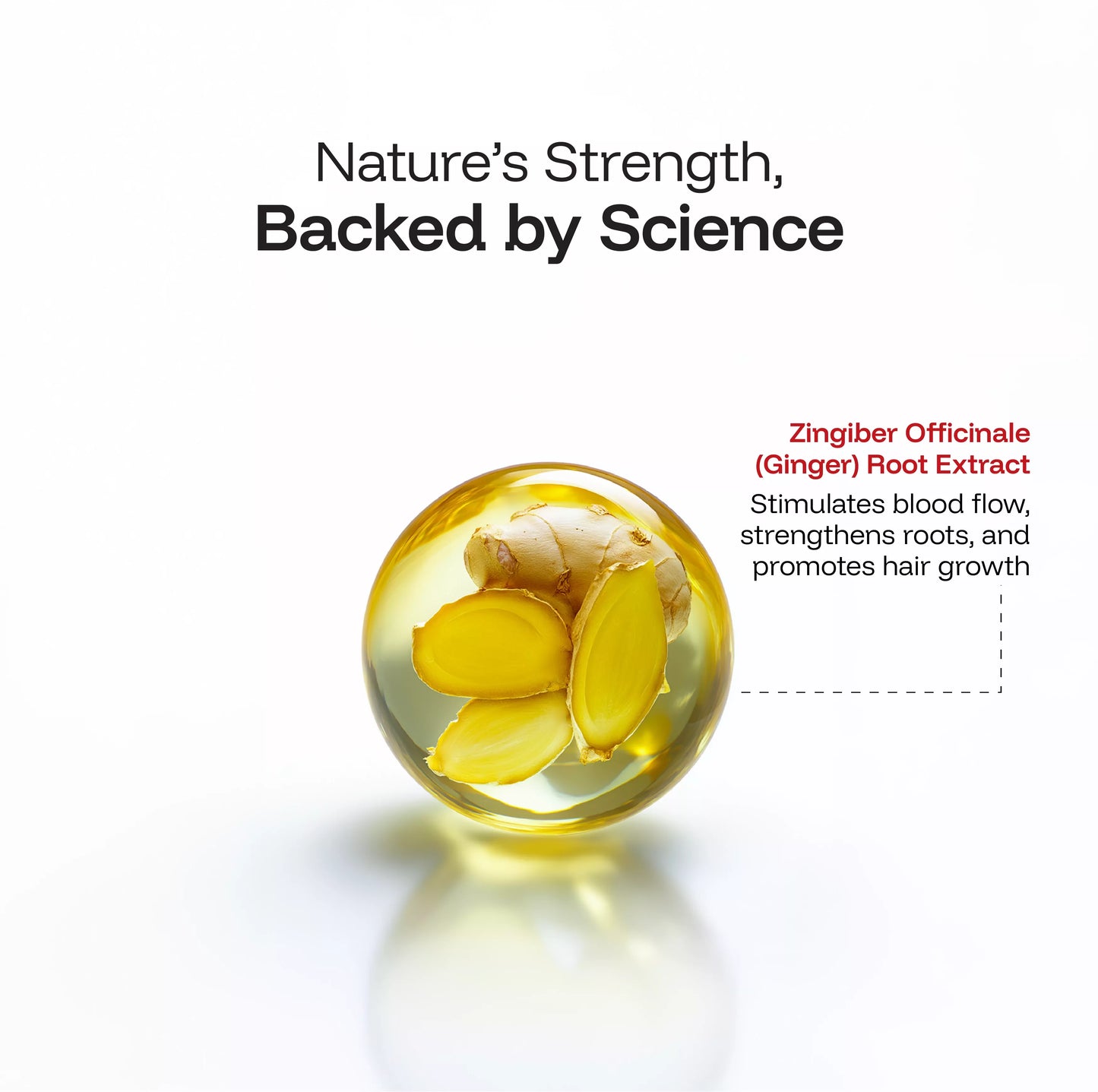 CINCINNUS Ginger Anti Hair Loss & Strengthening Shampoo