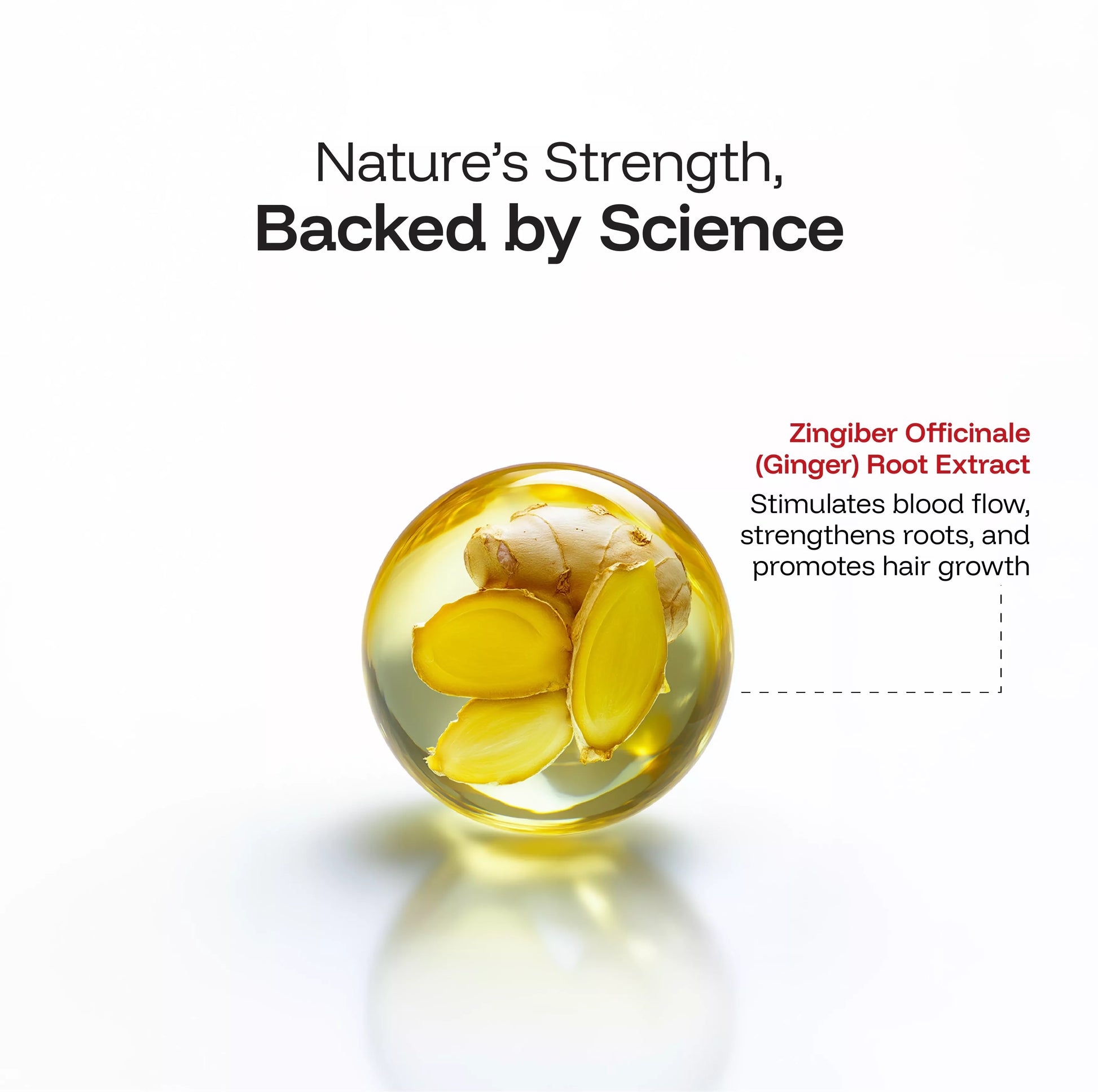 CINCINNUS Ginger Anti Hair Loss & Strengthening Shampoo