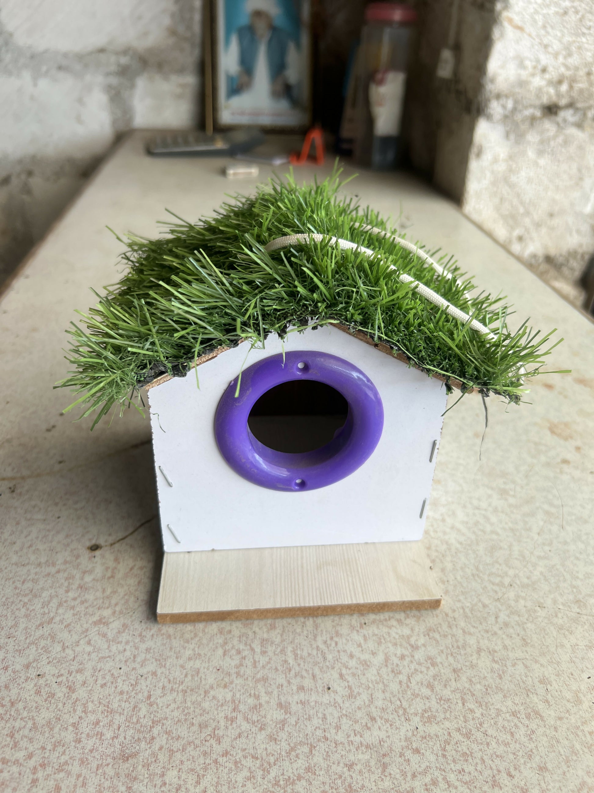 Wooden birdhouse in garden setting with natural surroundings