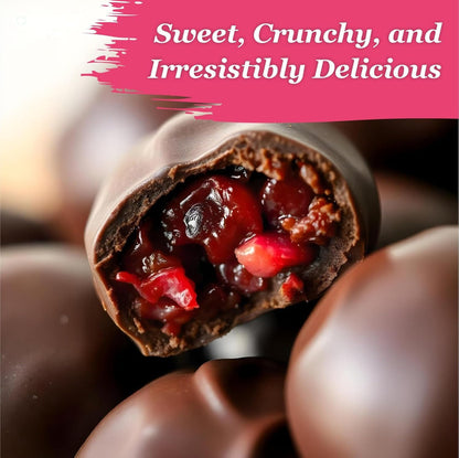 Oracle Choco Cranberry Dragees – Chocolate Coated Premium Cranberries (120gm)