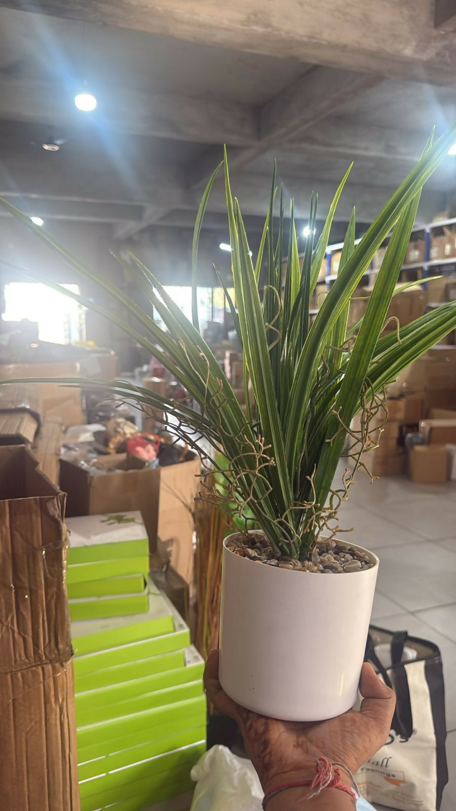 Artificial Indoor Tabletop Plant in Decorative Pot for Home & Office Décor