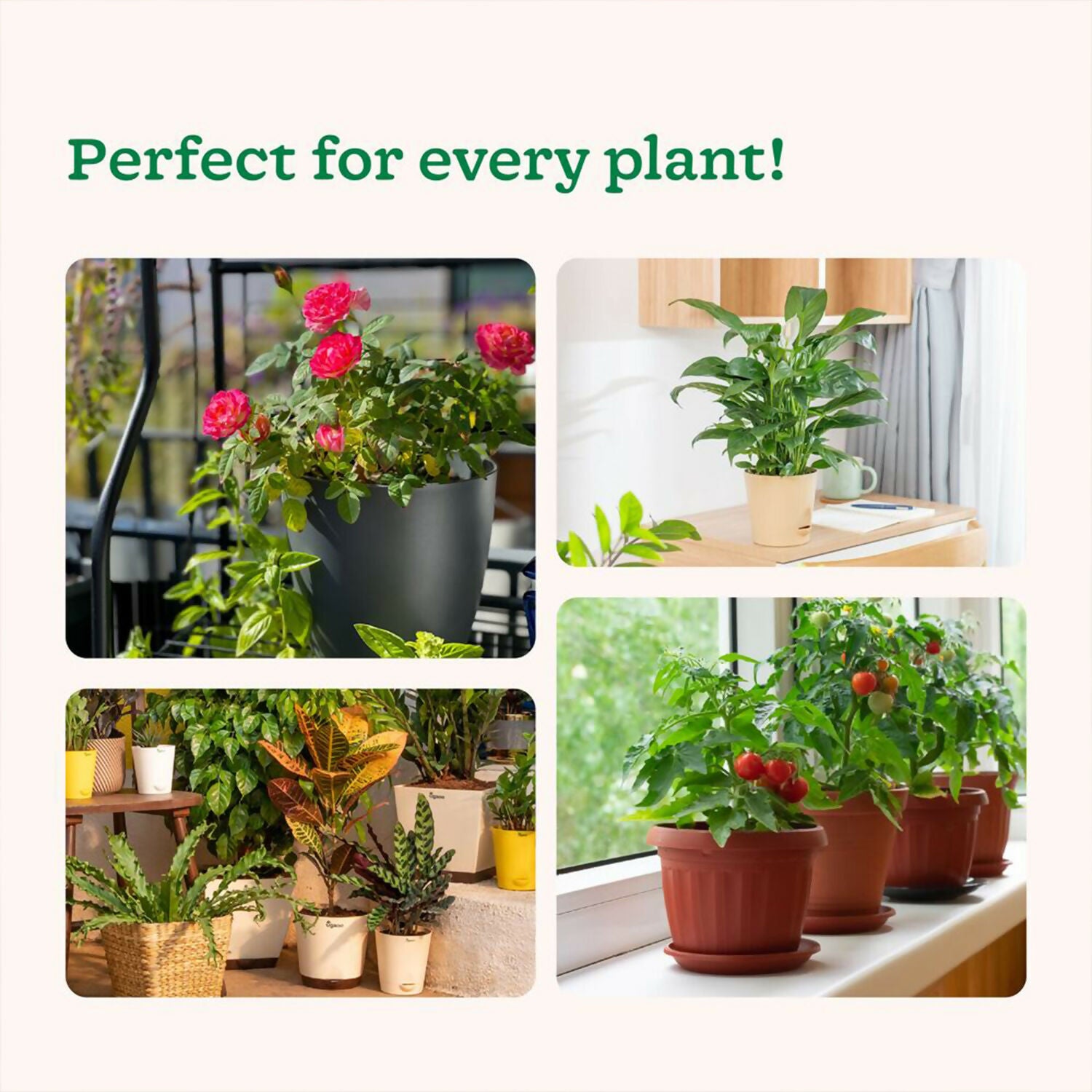 Kitchen Garden Growth Booster For Healthy & Vibrant Kitchen Garden (7g/10 Sachets) (70 g)