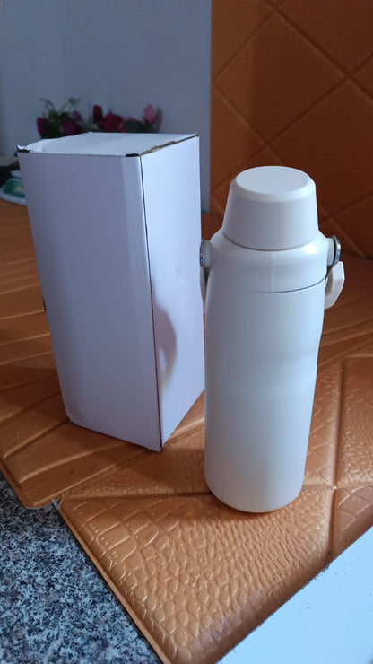 Insulated Stainless Steel Water Bottle (500 ML)