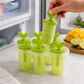 Ice Candy Maker – 6-Cavity BPA-Free Plastic Mold | Indo Glow