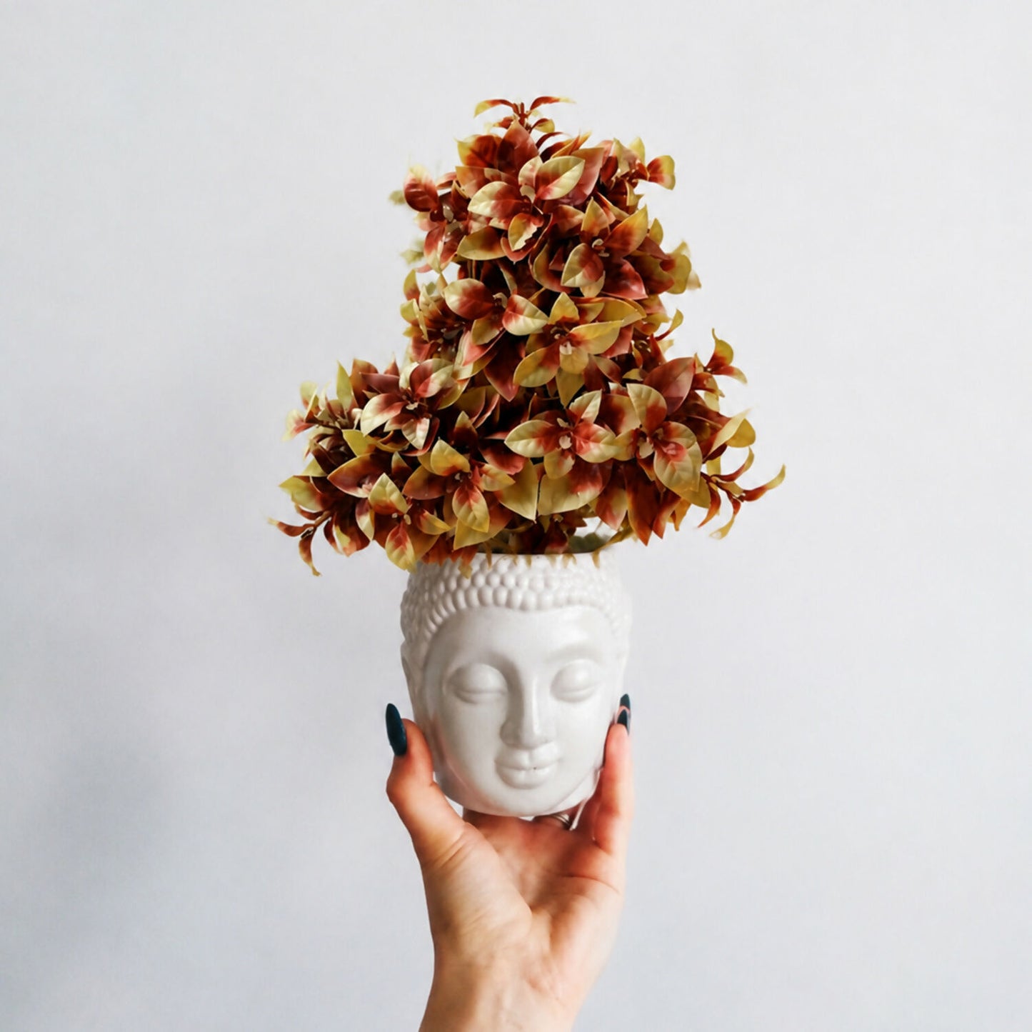 Mini-Plant-3