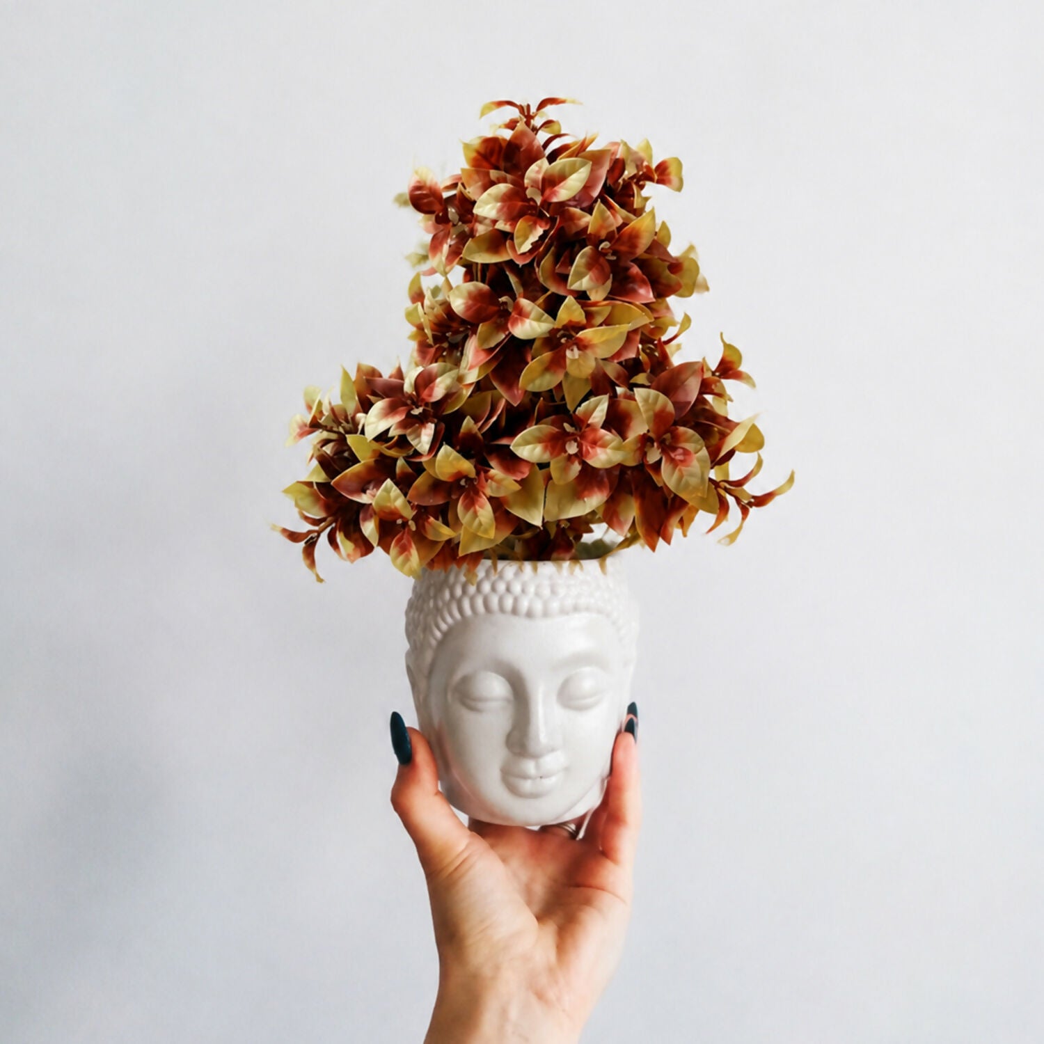 Mini-Plant-3
