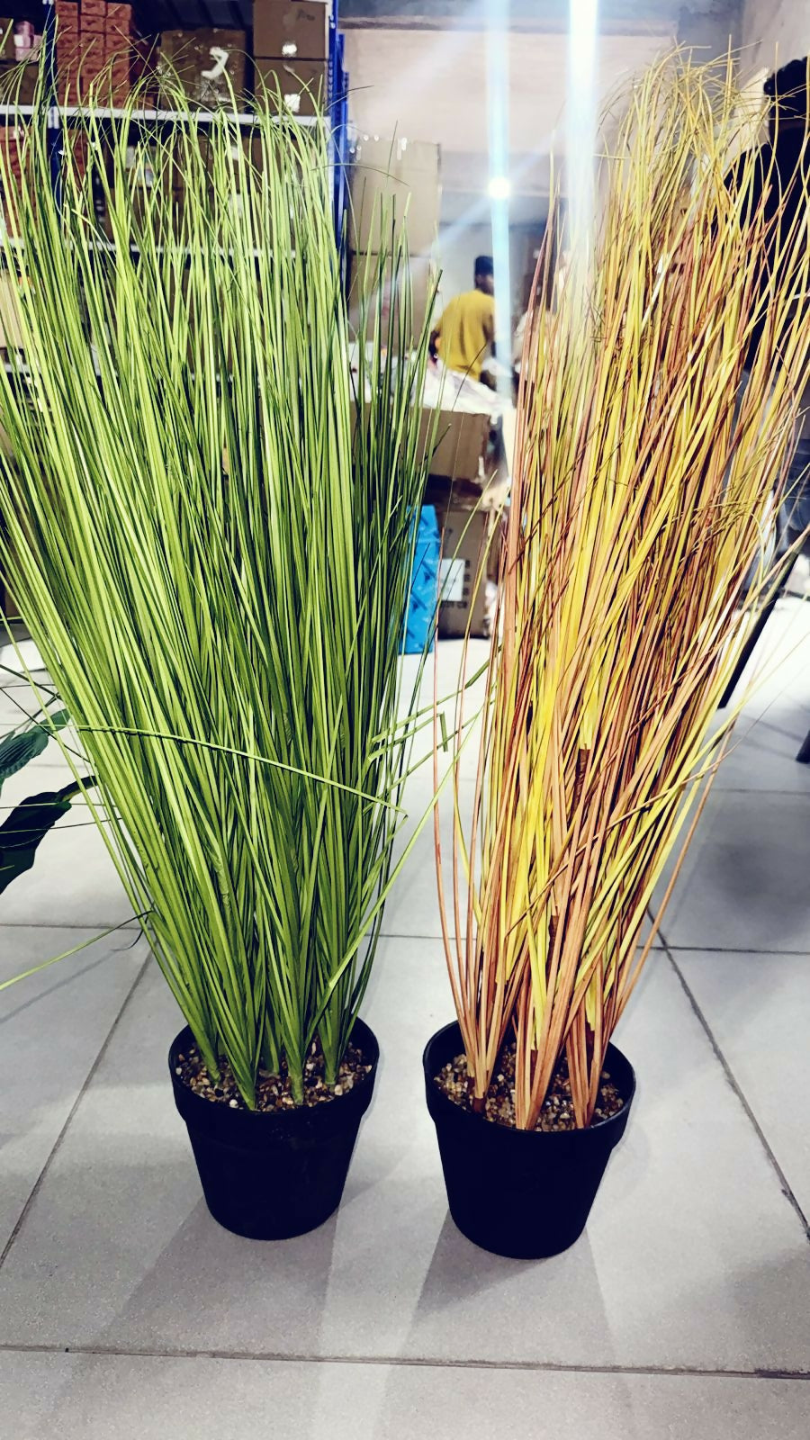 Artificial Decorative Grass Plant in Pot for Home & Office Décor