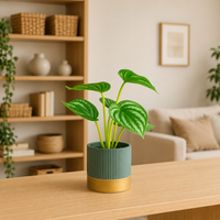 Artificial Potted Plant with Decorative Ribbed Pot for Home & Office Decor (Design may vary, 1 PC)