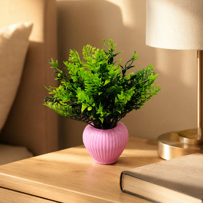 Decorative-Flower-Plant-01