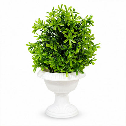 06