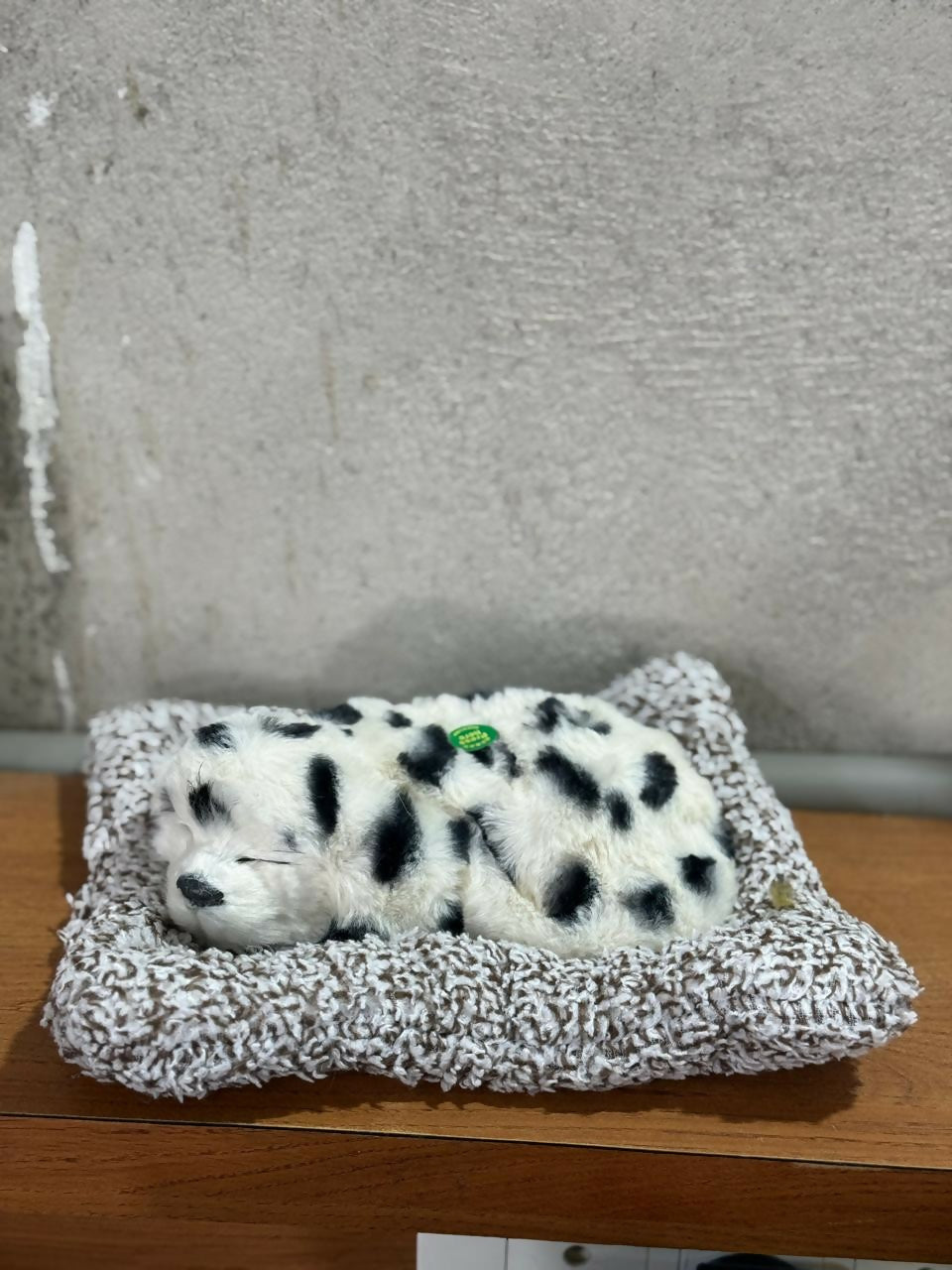 Premium Plush Dalmatian Puppy Toy Sleeping on Soft Knitted Cushion | Realistic Faux Fur Pet Dog Figurine for Home Decor, Desk Tabletop & Gift | Handcrafted Decorative Sleeping Puppy Model – Cute Animal Showpiece