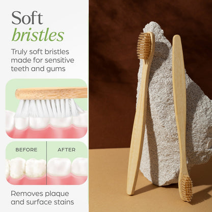 Eco-Friendly Natural Bamboo Toothbrush with Medium Bristles (2 Pc)