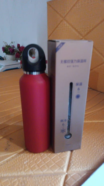 Vacuum Insulated Stainless Steel Water Bottle (630 ML)