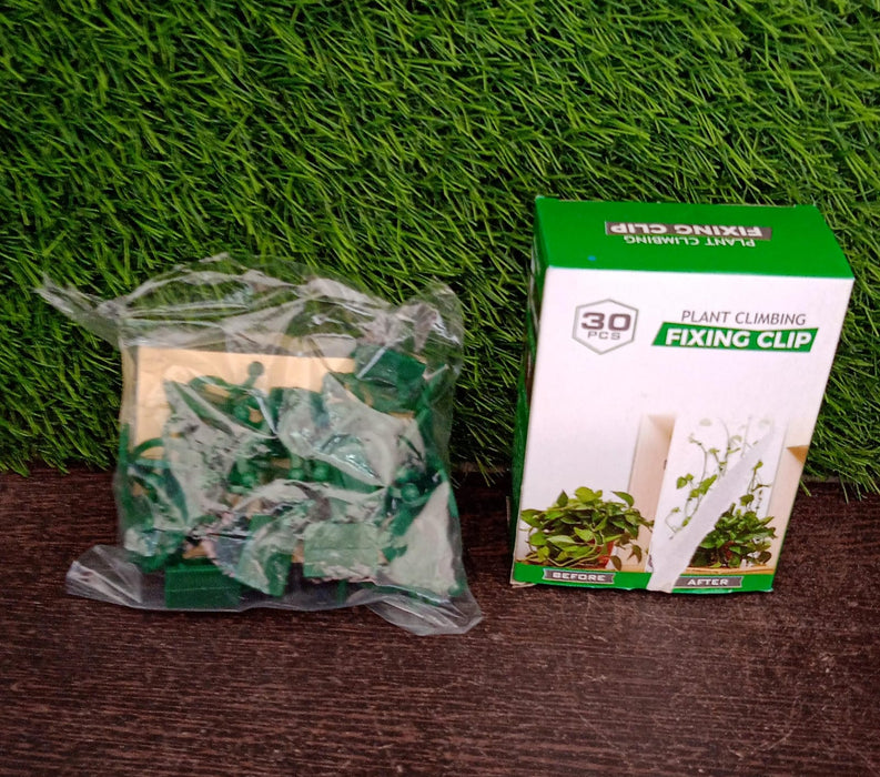 6156A 30pcs wall Plant Climbing Clip widely used for holding plants and poultry purposes and all (Box/30 Pcs Set)