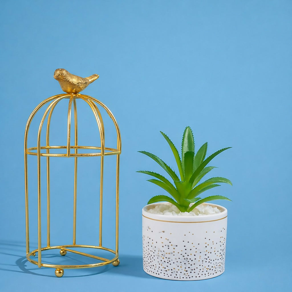 Golden Bird Cage Tabletop Planter with Decorative Pot(Color may vary)