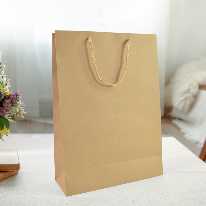 Compostable Plain Brown Paper Bag (10x14x4 Inch)