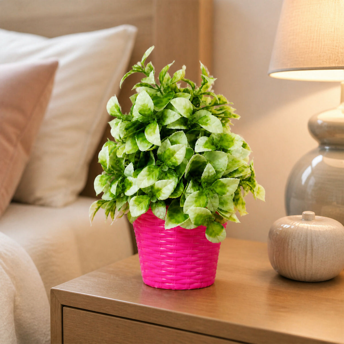 Decorative-Plant-01