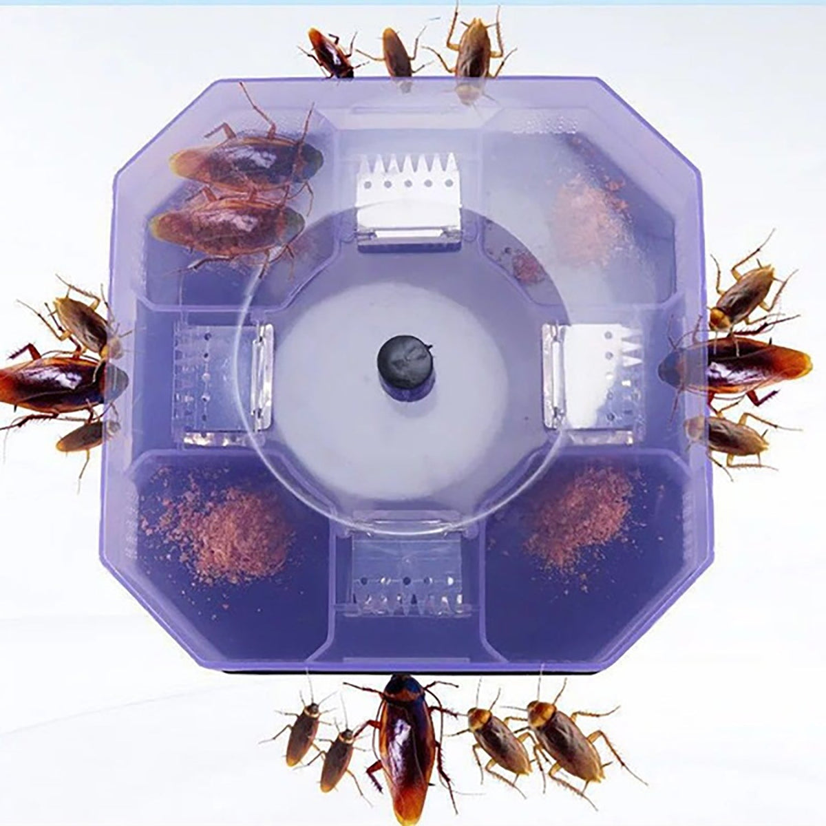 Cockroach Trap Box – Reusable Pest Killer for Home