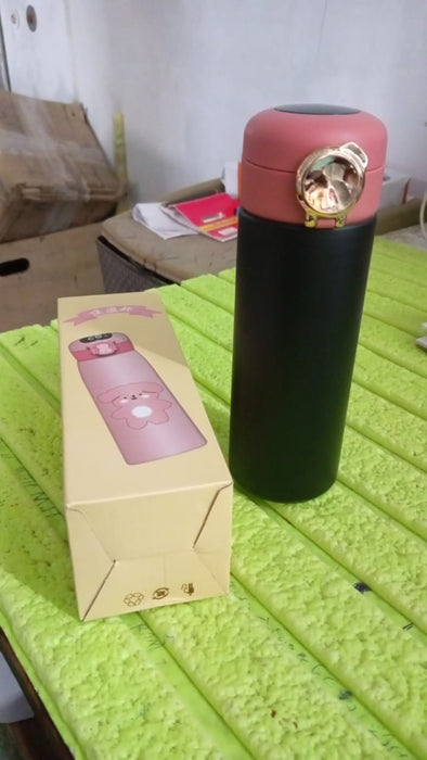 Customize Smart Vacuum Insulated Water Bottle with LED Temperature Display (450 ML Approx)