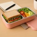 BPA-Free 2-Compartment Lunch Box – Leakproof & Compact Design